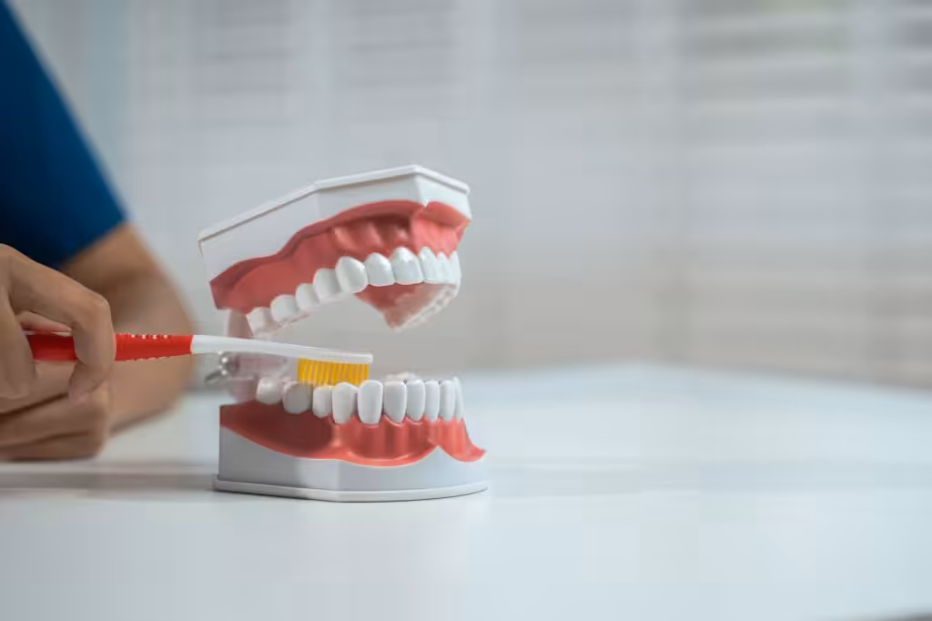 Dentist in Kenmore WA demonstrating cavity prevention and proper brushing technique