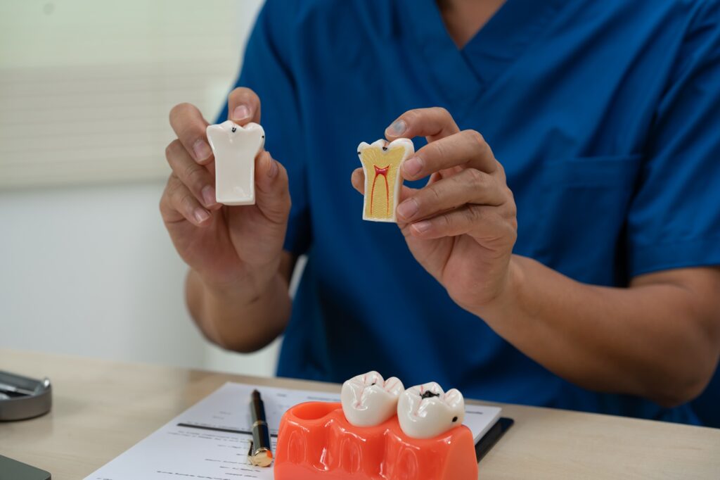 Dentist in Kenmore WA explaining why replacing a missing tooth early helps preserve oral health